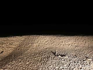 In the meantime